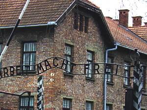 Visite à Auschwitz des 2nde Accueil et Commerce